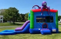 Octopus Bounce House Wet/Dry Combo Slide with Splash Pool
